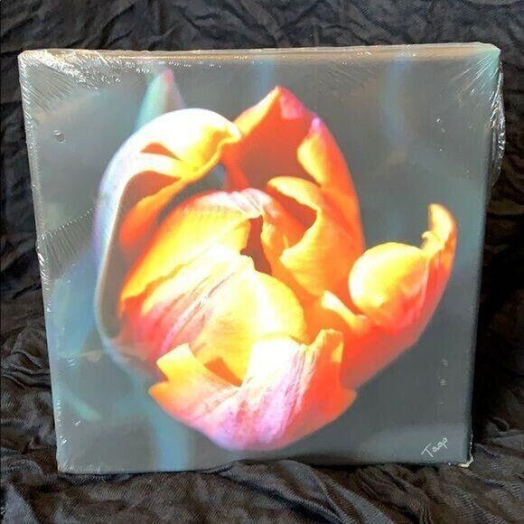 First Flames of Bloom Signed Canvas Print Photograph - Picture 1 of 5